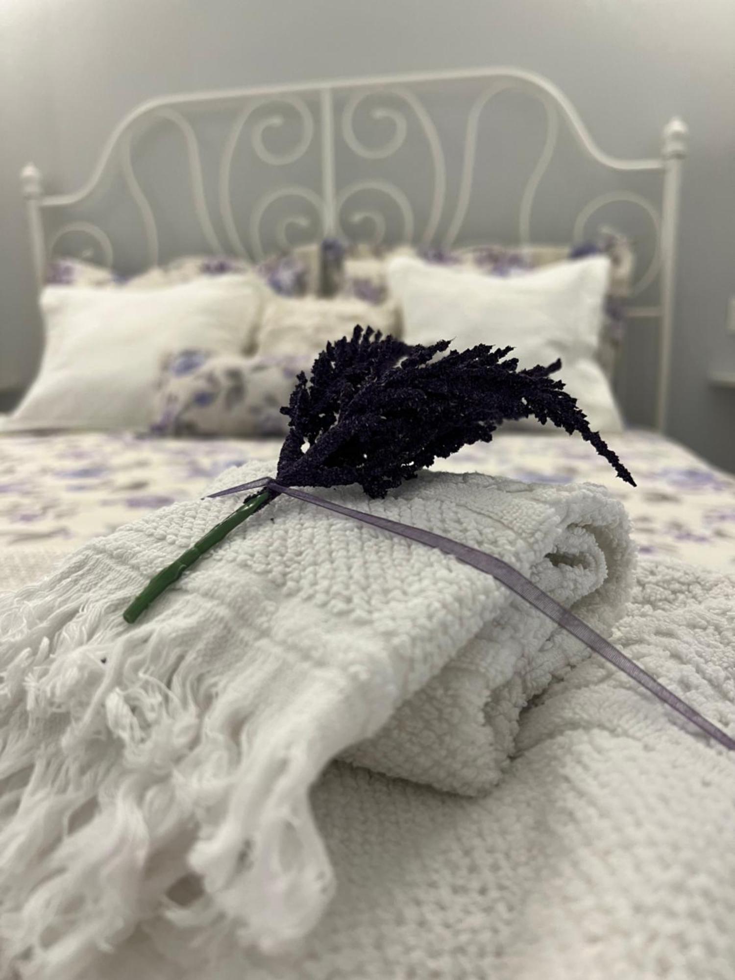 B&B Puglia D'Amare Ліццано Номер фото